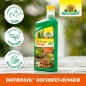 Preview: Neudorff BioTrissol Hochbeet-Dünger, für eine aromatische Ernte aus dem Hochbeet, 1L 2023 1359
