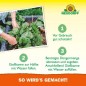 Preview: Neudorff BioTrissol Hochbeet-Dünger, für eine aromatische Ernte aus dem Hochbeet, 1L 2023 1359