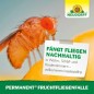 Preview: Neudorff Permanent FruchtfliegenFalle – Beseitigt zuverlässig Frucht-, Obst- und Essigfliegen, 1 Stk, 01486