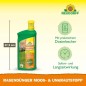 Preview: Neudorff RasenDünger Moos- & UnkrautStopp – Rasendünger mit Eisen und Kalium, sorgt für grünen Rasen, 1 Liter für 100 m² 1281
