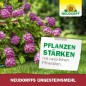Preview: Neudorff UrgesteinsMehl - mit natürlicher Langzeitwirkung alle Bodenarten, 10 kg für 100 m², 50151