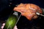 Preview: OUTDOORCHEF Easy Check Wireless Grillthermometer Dual, 14.491.95