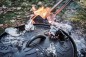 Preview: Petromax Feuertopf (Dutch Oven) 3.5 L, ft4.5