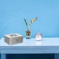 Preview: Rottner Geldkassette HomeStar Cash 2, Silber, T06108
