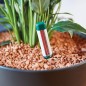 Preview: Seramis Gießanzeiger klein, 16 cm – 2er Set, in Grün 730468