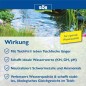 Preview: Söll TeichFit Grundpflegemittel für den Teich, 2,5 kg  für 25.000 Liter, 81738