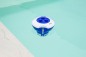 Preview: Steinbach Chlordosierschwimmer mit integriertem Thermometer, 079070