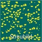 Preview: Substral Celaflor Hunde & Katzen Ex , Vertreibungsgranulat, mit Sofortwirkung, 200g, 1317