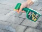 Preview: Substral Celaflor Hunde & Katzen Stopp, Spray zur Abwehr, mit Sofortwirkung, 500 ml, 1300
