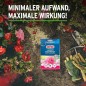Preview: Substral Langzeit Depotdünger für Rosen & Blühpflanzen, 1,5 kg, 75040