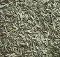Preview: Substral Rasensamen Sport und Spiel, strapazierfähige Rasensaat-Mischung mit Grünfärbung gegen Vogelfraß, 2kg, 100m², Blau 2kg - 100qm Single 87971