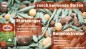 Preview: Substral Vertikutiermix Rasenreparatur-Mischung aus Rasensamen, Rasendünger und Bodenaktivator, für 133 m² kg, 4 kg Sack, 86931