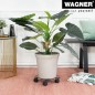 Preview: WAGNER Pflanzenroller DRAHT GH 0943, Ø 30 x 6,5 cm, aus beschichtetem Stahl, 20094301