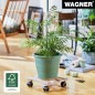 Preview: WAGNER Pflanzenroller GH0097, 25 x 25 x 8 cm, Buche natur, 20009701