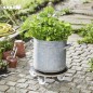 Preview: WAGNER Pflanzenroller GH 1107, Ø 38 x 11 cm, aus Birkenholz,  20110701