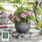 Preview: Wagner Pflanzenroller GH 7090, 40 x 40cm, aus Massivholz, 20709001