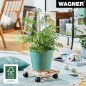 Preview: Wagner Pflanzenroller GreenHome, 25 cm, Holz, Buche Natur, 20043901