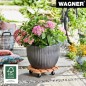Preview: Wagner Pflanzenroller TOSCANA GH 0163, Ø 38 x 10,5 cm, aus Massivholz, 20016301