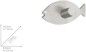 Preview: WENKO Wandhaken Fisch, 2er Set selbstklebend, Edelstahl rostfrei, 4466040100