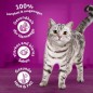 Preview: Whiskas Adult 1+ Trockenfutter Thunfisch, 7kg (1 Packung) - Katzentrockenfutter für erwachsene Katzen - unterschiedliche Produktverpackungen erhältlich Thunfisch 7 kg (1er Pack) 438741