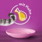 Preview: Whiskas Junior Trockenfutter mit Huhn, 1,9kg, von 2-12 Monaten, 325672