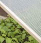 Preview: Windhager Gitterfolie, Transparent, 100 g/m², 3 x 2 m, 6745