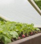 Preview: Windhager Gitterfolie, Transparent, 100 g/m², 3 x 2 m, 6745