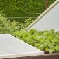 Preview: Windhager Gitterfolie, Transparent, 100 g/m², 3 x 2 m, 6745