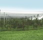 Preview: Windhager Hagelschutz-Netz, Maschenweite 8 mm, 5 x 4 m, grün, 06773