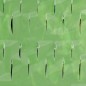 Preview: Windhager Tomaten-Folienhaube mitwachsend, Folie für Tomaten, 1,25 x 0,65 m, grün, 06765