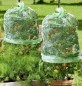 Preview: Windhager Tomaten-Folienhaube mitwachsend, Folie für Tomaten, 1,25 x 0,65 m, grün, 06765