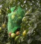 Preview: Windhager Tomaten-Folienhaube mitwachsend, Folie für Tomaten, 1,25 x 0,65 m, grün, 06765