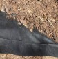 Preview: Windhager Unkraut-Vlies, 5 x 1,6 m, 50 g/m², 06754