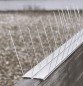 Preview: Windhager Vogel- & Taubenabwehr CLASSIC, Set aus Edelstahl-Leiste und Edelstahl-Spikes, 5,8 x 60 x 11 cm, 07130