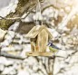 Preview: Windhager Vogelfutter-Silo Cottage, 18,5 x 14,5 x 23,5 cm, 06912