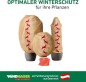 Preview: Windhager Winter-Deko-Vlieshaube Protect L, 0,6 x 1,8m, 06839