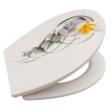 WELLWATER WC-Sitz Euphonia, Soft-Close, Take-Off, Thermoplast, 956481