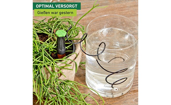 Preview: Windhager Automatischer Wasserspender 3 Stk. 06434