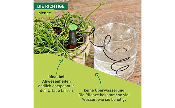 Preview: Windhager Automatischer Wasserspender 3 Stk. 06434