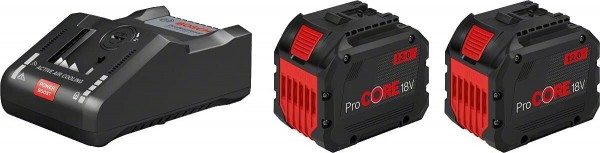 2 x PROCORE 18V 12,0Ah + GAL 18V-160 C + GCY 42 Professional