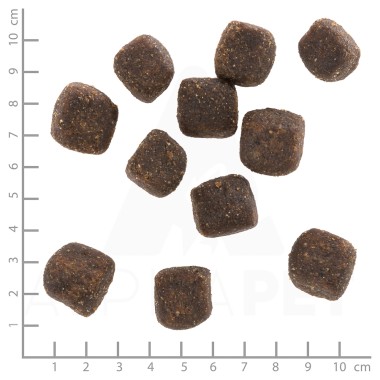 Wild Duck Squashies Duck with Sweet Potatoes, 100 g, WB785414