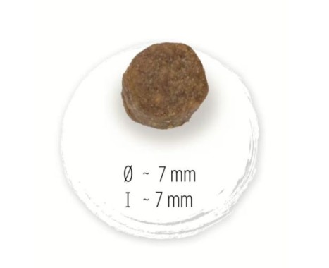 Preview: Happy Dog NaturCroq Puppy, Alleinfutter für Welpen ab 4 Wochen bis 6 Monate, 1 kg, 170984