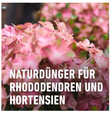 COMPO BIO Rhododendron- und Hortensien Dünger mit Schafwolle, 750g, 26723