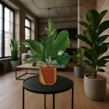 Preview: Seramis Pflanz-Granulat für alle Zimmerpflanzen, 7,5 l, 730017