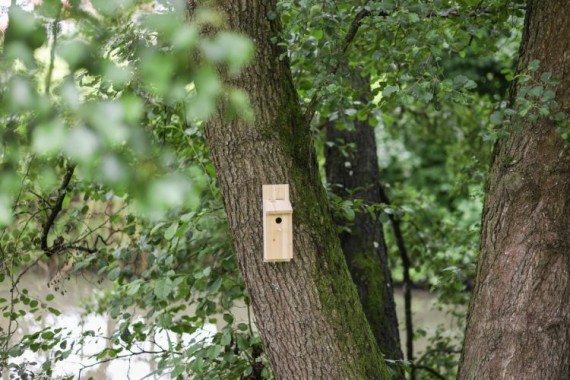 Kerbl Nistkasten Selbstbauset, 82959