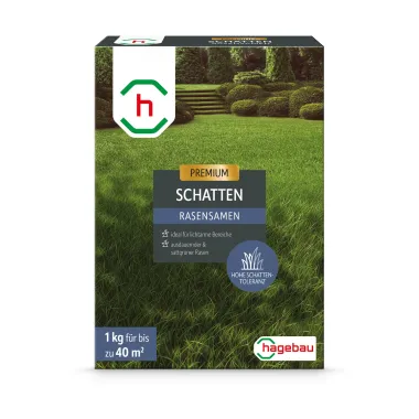 Rasensamen Schattenrasen 1,0Kg Karton für 40 m2, 629605