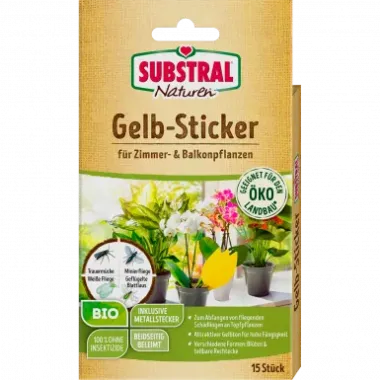 Substral Naturen Bio Gelbstecker, insektizidfreie Leimfallen zum Schutz von Zierpflanzen, 10 Stück, 76200