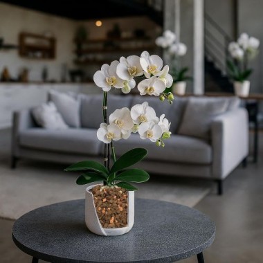 Preview: Seramis Spezial-Granulat für Orchideen 7L, 730086