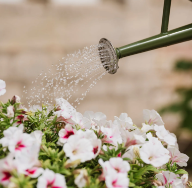 Kent & Stowe 4,5 Liter Vintage Gießkanne in olivgrün – im klassisch englischen Stil mit 2 Griffen, 735715