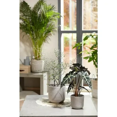 Preview: Seramis Topper Granulat Graphite, 1 L, 738044